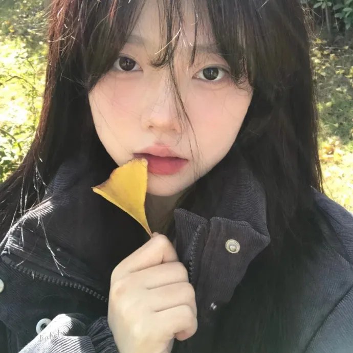 你的情歌